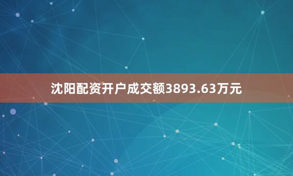 沈阳配资开户成交额3893.63万元